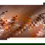 Haft Diamentowy Diamond Painting Mozaika 5D Liski Lis 30X40 Cm