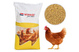 PASZA KARMA DLA KUR NIOSEK WITAMINY NATURALNA GRANULAT 25KG WIPASZ PREMIUM