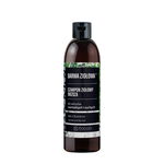 BARWA ZIOŁOWA SZAMPON DO WŁOSÓW BRZOZOWY - WŁOSY NORMALNE I SUCHE  250ML