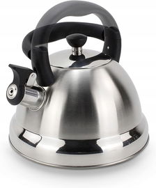 Czajnik ze stali nierdzewnej z gwizdkiem, srebrny 3 L