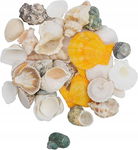 Muszle mieszane, 3-7 cm 250g
