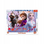 PUZZLE Ramkowe 25 EL. PRZYGODY W KRAINIE LODU ELSA ANNA TREFL