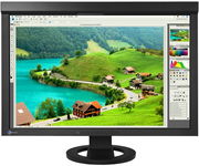 MONITOR LCD EIZO CG245W 24.1" 1920x1200 IPS DP DVI USB klasa C
