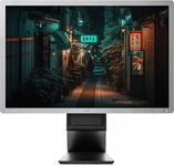 BIUROWY MONITOR HP E241i IPS LED 1920X1200 VGA DVI DP klasa A-