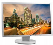MONITOR GŁOŚNIKI LED EIZO EV2416W 24" 1920x1200 TN DP VGA SZARY klasa A