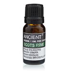 ANCIENT Olejek Eteryczny 10ml - Sosna