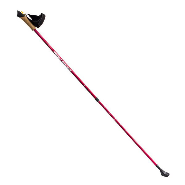Kije Nordic Walking NILS Wszechstronne Teleskopowe NW607