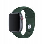 Opaska Apple Watch 38/40mm BeHello zielona