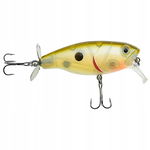 WOBLER Wędkarski Minnow Pop Walker 3D sztuczna PRZYNĘTA 8 cm 15 g