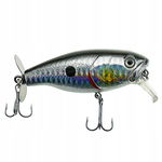 WOBLER Wędkarski Minnow Pop Walker 3D sztuczna PRZYNĘTA 8 cm 15 g