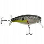 WOBLER Wędkarski Minnow Pop Walker 3D sztuczna PRZYNĘTA 8 cm 15 g