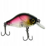 WOBLER Wędkarski Minnow Pop Walker 3D sztuczna PRZYNĘTA 5,5 cm 8 g