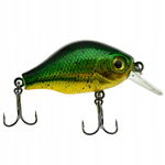 WOBLER Wędkarski Minnow Pop Walker 3D sztuczna PRZYNĘTA 5,5 cm 8 g