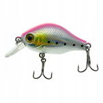 WOBLER Wędkarski Minnow Pop Walker 3D sztuczna PRZYNĘTA 5,5 cm 8 g