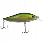 WOBLER Wędkarski Minnow Pop Walker 3D sztuczna PRZYNĘTA 9,5 cm 12 g