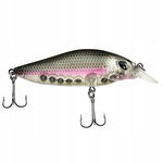 WOBLER Wędkarski Minnow Pop Walker 3D sztuczna PRZYNĘTA 9,5 cm 12 g