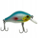 WOBLER Wędkarski Minnow Pop Walker 3D sztuczna PRZYNĘTA 5,5 cm 8 g