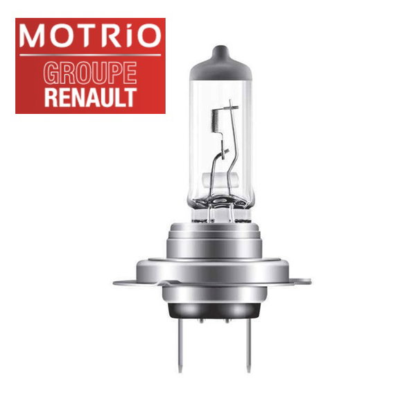 Żarówka H7 12V 55W PX26d lampy przód światła mijania drogowe Master Movano