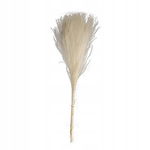 WESTWING SUSZONA TRAWA MISKANT BUKIET NATURALNY DO WAZONU 10 szt 75 cm