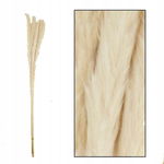 WESTWING Naturalna Trawa PAMPASOWA Dalia bielona 75 cm 6 szt