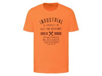 LIVERGY koszulka t-shirt z krótkim rękawem bawełna pomarańczowa M 48/50