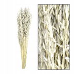 WESTWING Bukiet Avena - Szary 60 cm