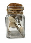 WESTWING Suszone kwiaty w butelce 10 CM