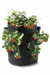 Torba do sadzenia truskawek Parkside Ø 35 x wys. 42 cm czarna
