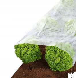 Agrowłóknina okryciowa (zimowa-wiosenna) Parkside biały 150x1000 cm 0 g/m²