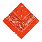 AOMIG - Bandana unisex Paisley, pomarańczowa, 55 x 55 cm