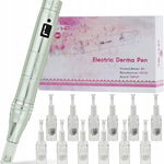 TBPHP M1 Derma Pen Profesjonalny - 7 trybów, LCD, 12 wkładów, srebrny