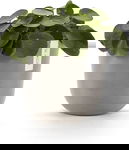 Doniczka OSLO ECOPOTS Ø25 z recyklingu, odporna na UV i mróz