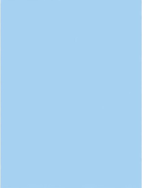 Clairefontaine - 25 arkuszy papieru plakatowego, 60 x 80 cm, 90 g, błękitny