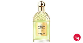 GUERLAIN AQUA ALLEGORIA FORTE NEROLIA VETIVER 125ml FLAKON