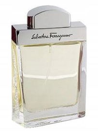 SALVATORE FERRAGAMO POUR HOMME 100ml PRODUKT