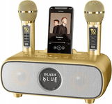 Karaoke Bluetooth z 2 mikrofonami, głośnik, uchwyt na telefon, USB, AUX, TF