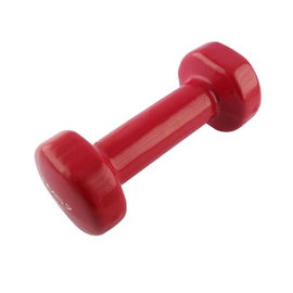 17023 ciezarek zeliwny pokryty winylem 2.0 kg