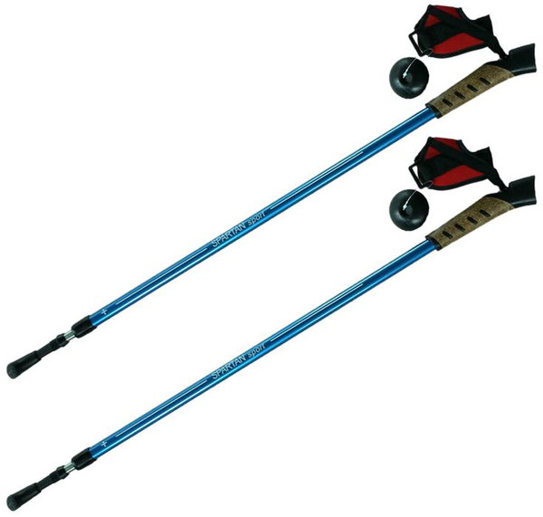 Kije nordic walking 2-sekfencje niebieskie