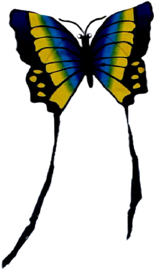 Latawiec motyl 88x78cm niebiesko żółty enero toys