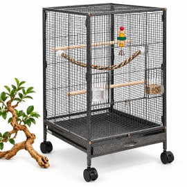 Klatka metalowa dla ptaków egzotycznych 80 cm woliera dla papug i kanarków